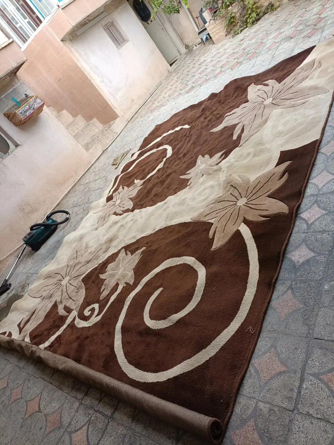 قالی فانتزی|فرش|کازرون, |دیوار