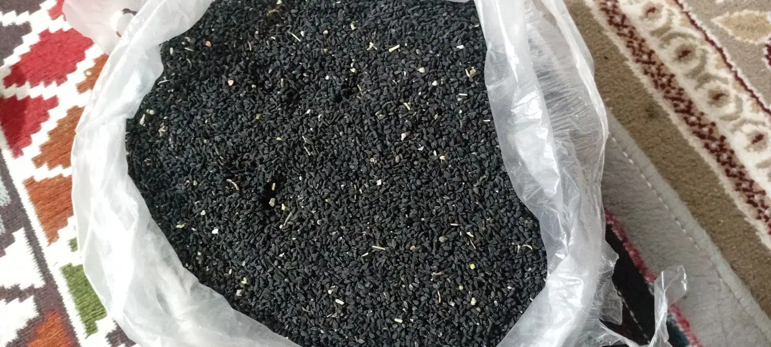 سیاه دونه|عمدهفروشی|سپیدار, |دیوار