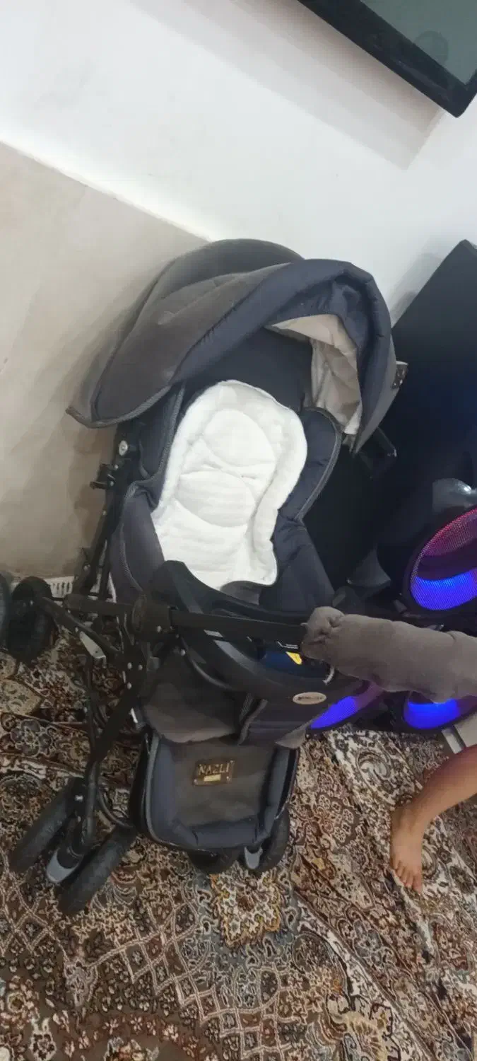 کالسکه مدل دلیجان|کالسکه و لوازم جانبی|سبزوار, شرق کال عیدگاه|دیوار