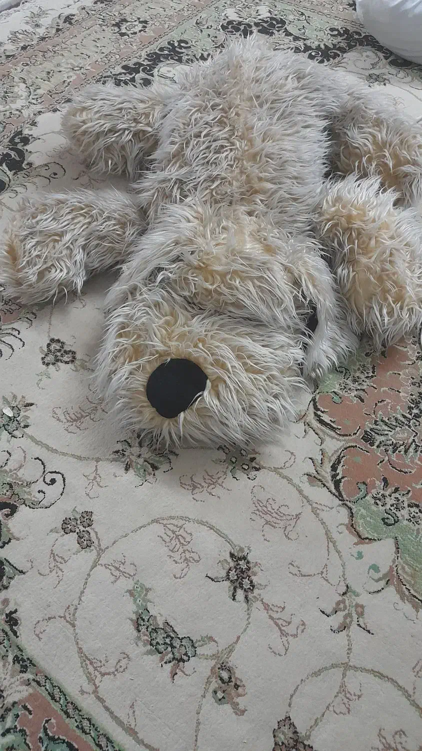 عروسک پشمالو|اسباب‌‌بازی|اسلام‌شهر, مظفریه|دیوار