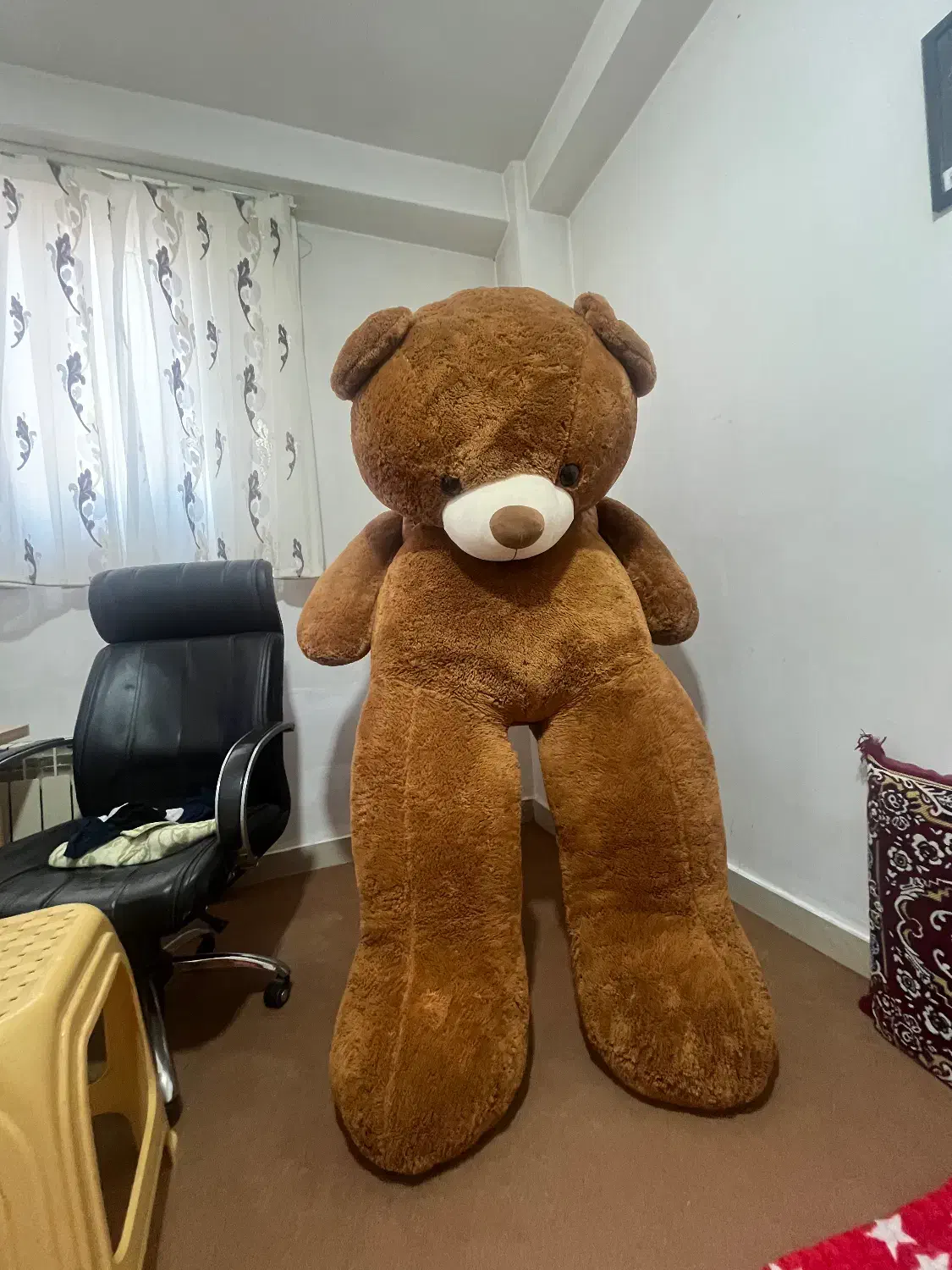 خرس قهوه ای|اسباب‌بازی بچه|سهند, |دیوار