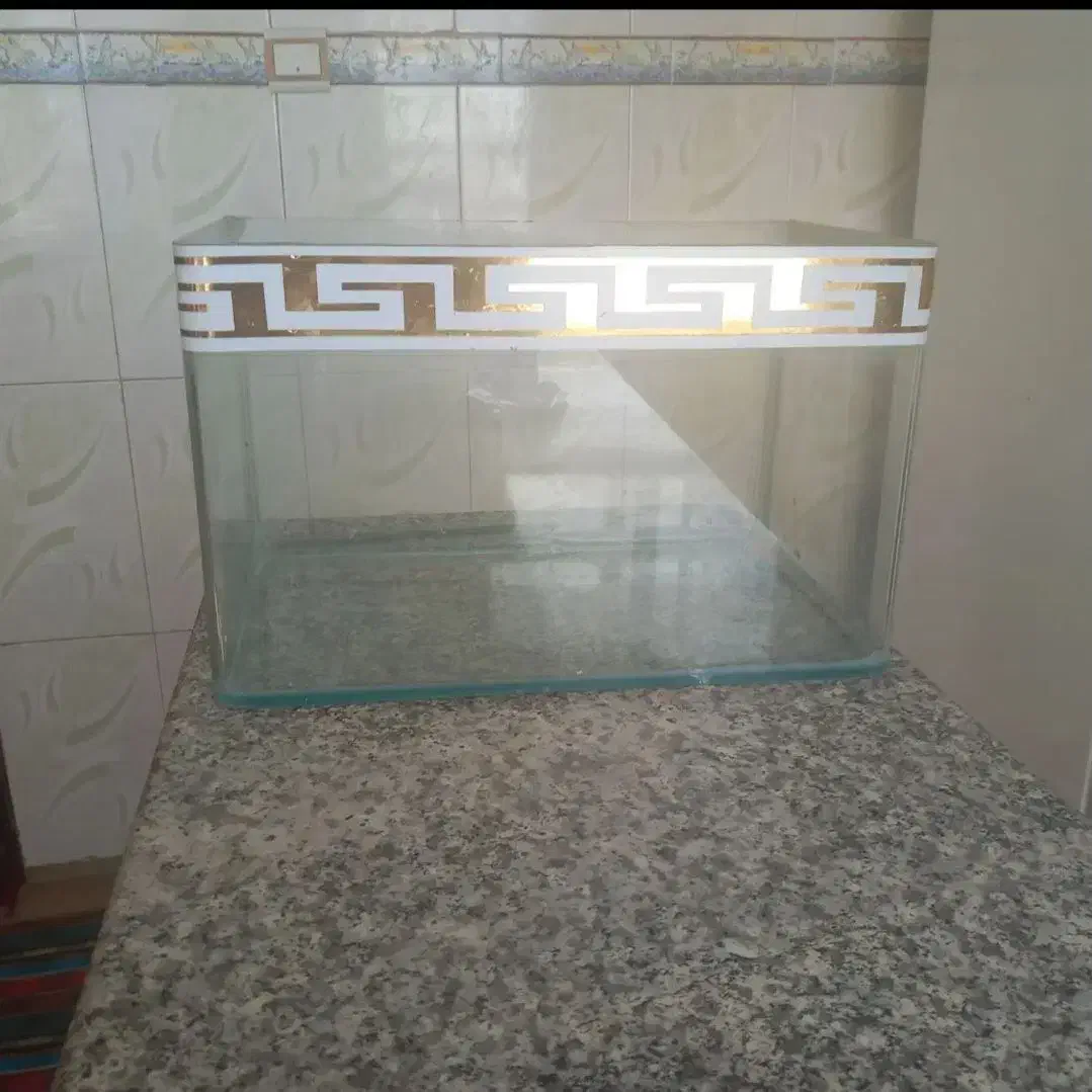 مفت مفت|ماهی|ملایر, |دیوار