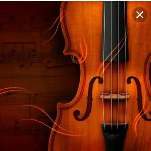 آموزش اصولی و حرفه ای ساز های ویولن و نی|خدمات آموزشی|نجفآباد, امیرآباد|دیوار