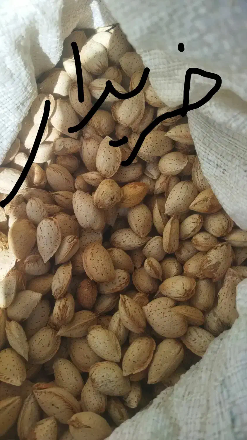 خرید و فروش بادام|عمده‌فروشی|گلپایگان, |دیوار