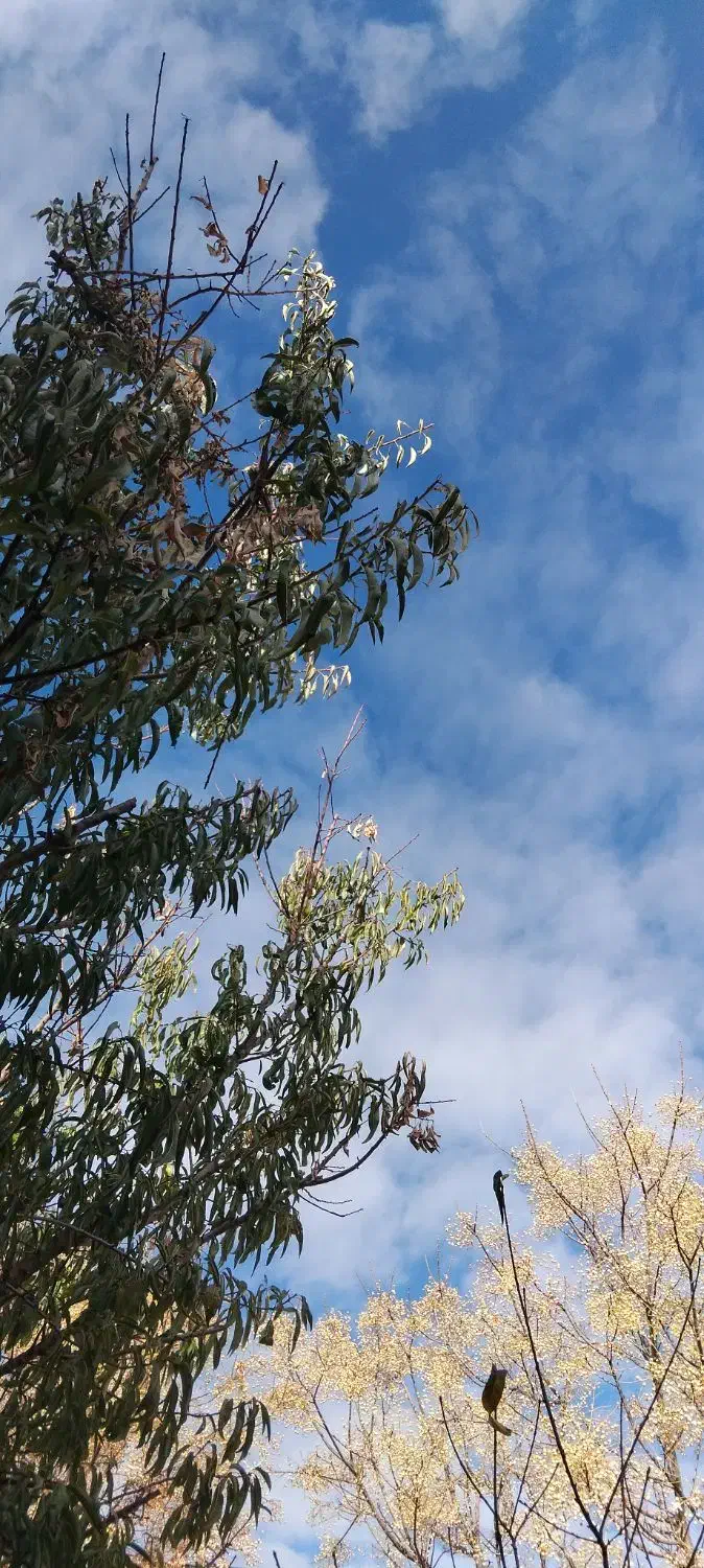 سلام به یک نفر که کار کردن با لپتاپ بلد باشد|خدمات رایانه‌ای و موبایل|بروجرد, |دیوار