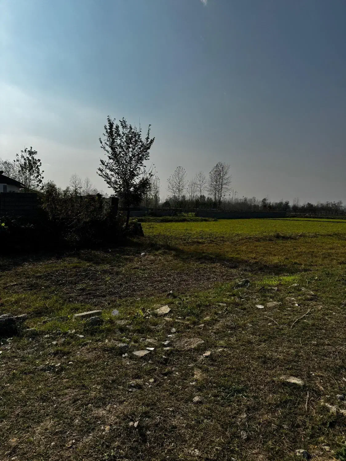 فروش زمین|فروش زمین و ملک کلنگی|آستانه اشرفیه, |دیوار