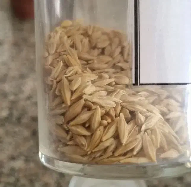 جو فروشی|عمده‌فروشی|خوسف, |دیوار