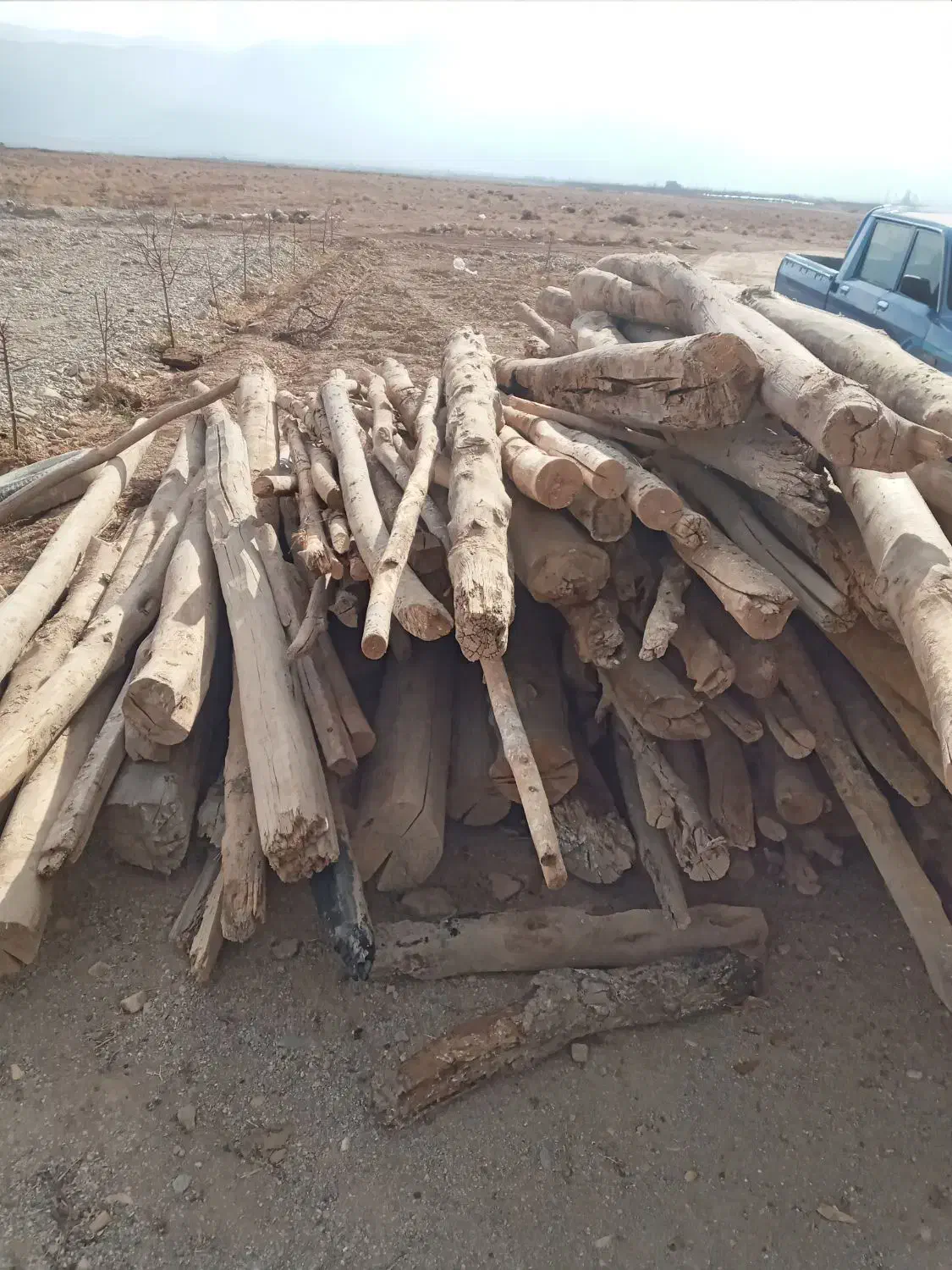 چوب|مصالح و تجهیزات ساختمان|بسطام, |دیوار