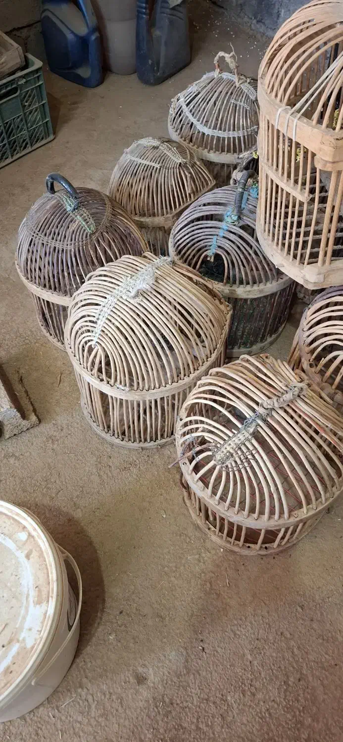 قفس فروشی|لوازم جانبی حیوانات|جوانرود, |دیوار