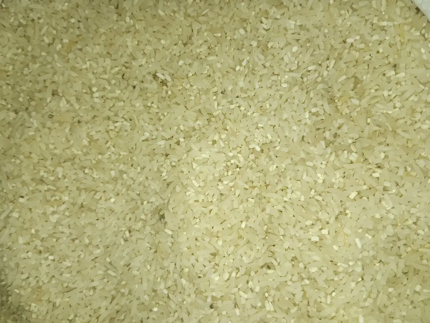 برنج سرلاشه طارم معطر|خوردنی و آشامیدنی|کرج, کمالشهر|دیوار