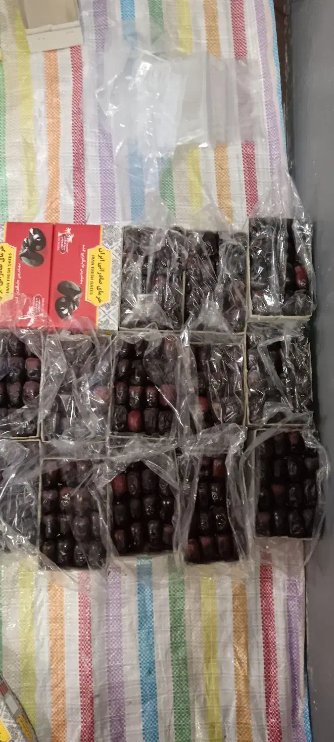 فروش فوری خرما مضافتی|عمده‌فروشی|سراوان, |دیوار