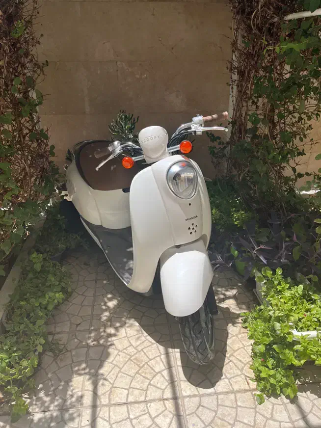 هوندا اسکوپی|موتورسیکلت|اصفهان, زهران|دیوار