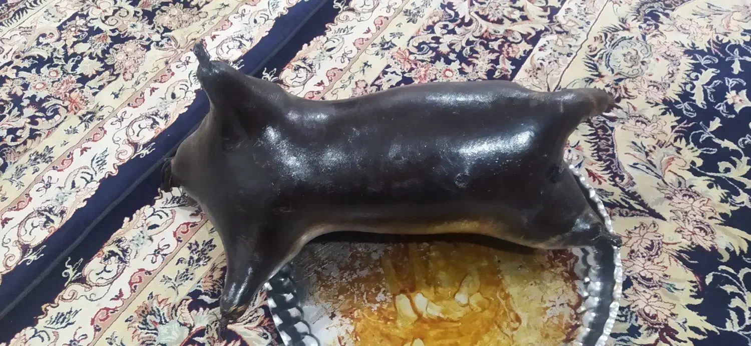 هیزه|ظروف نگهدارنده، پلاستیکی، یک‌بارمصرف|جوانرود, |دیوار