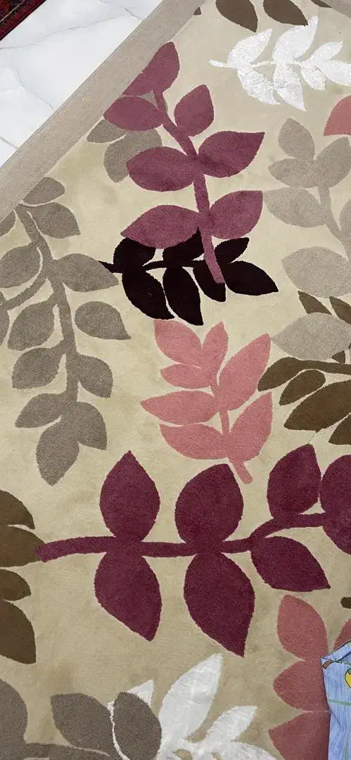 فرش پاتریس ۴ متری در حد نو قیمت توافقی|فرش|دورود, |دیوار