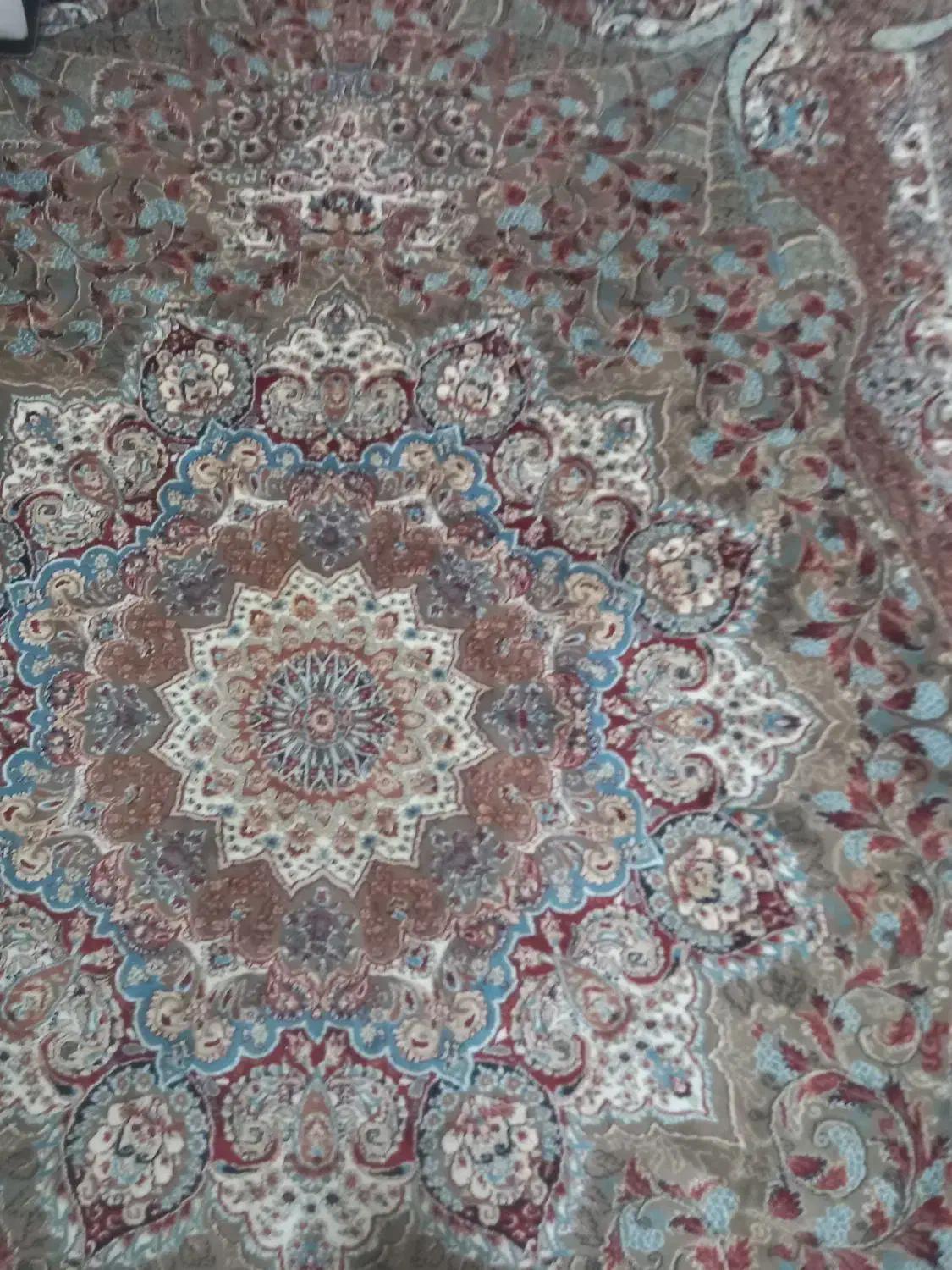 فرش ۱۲ متری|فرش|رشت, پل تالشان|دیوار