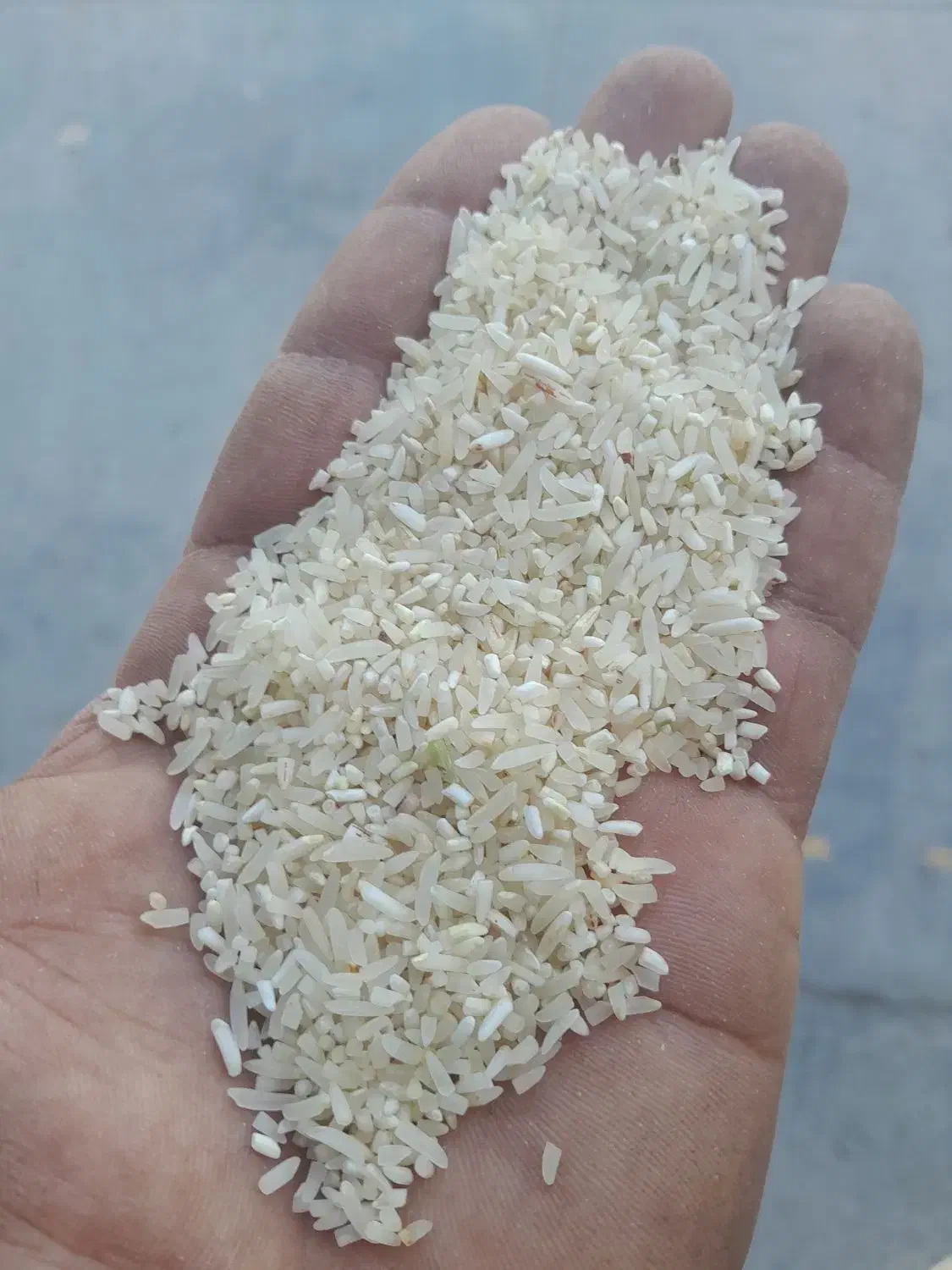 سرلاشه فجر|خوردنی و آشامیدنی|سنگدوین, |دیوار