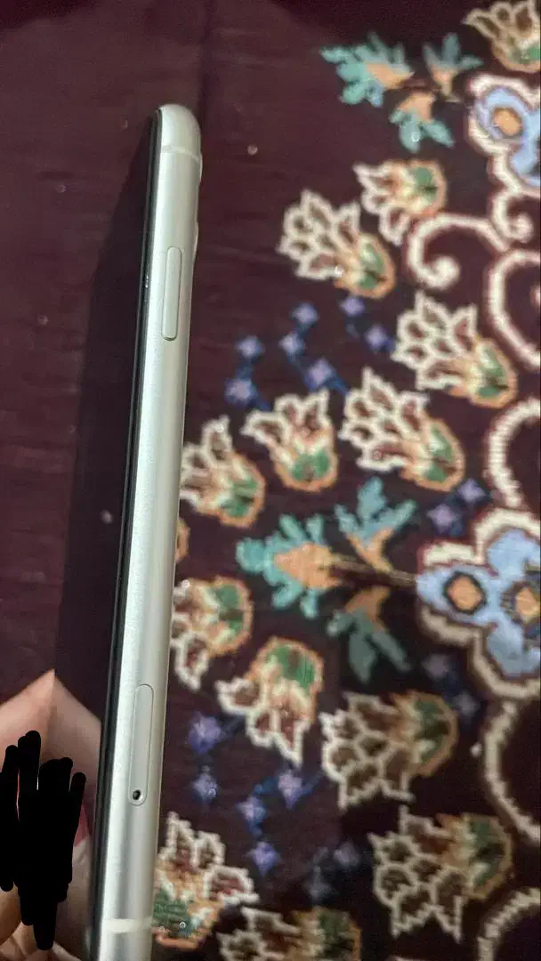 آیفون 11نرمال|موبایل|قشم, |دیوار