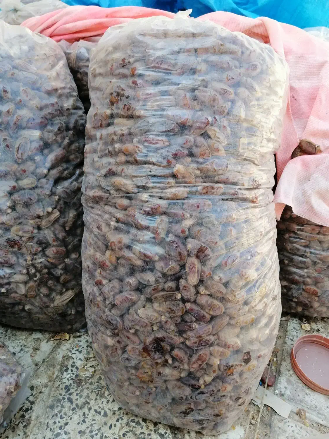 خرما شاهانی|خوردنی و آشامیدنی|داراب, |دیوار