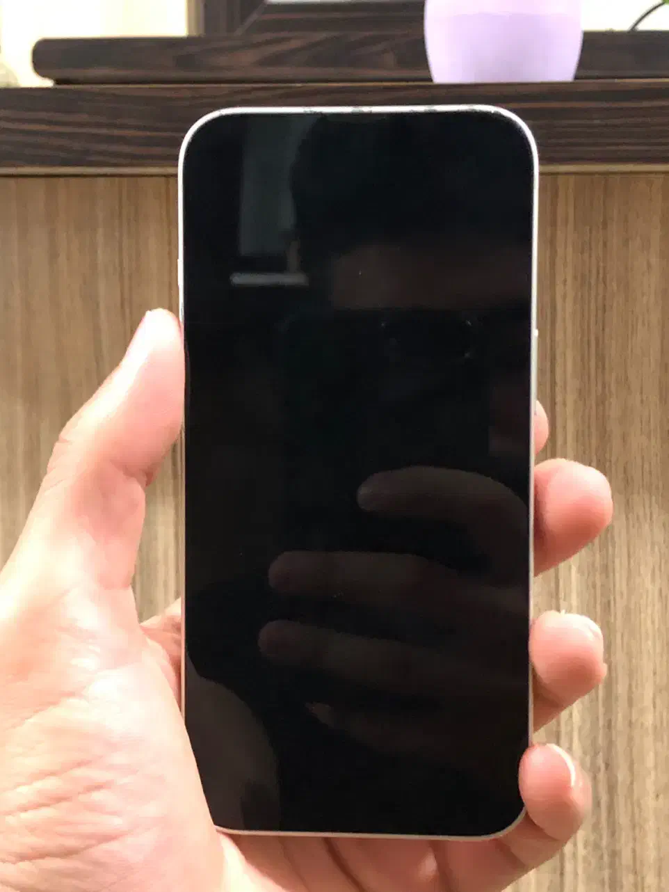 ایفون 13|موبایل|چالوس, |دیوار