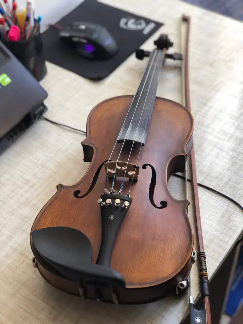 ویولن حرفهای|ویولن|بوکان, |دیوار