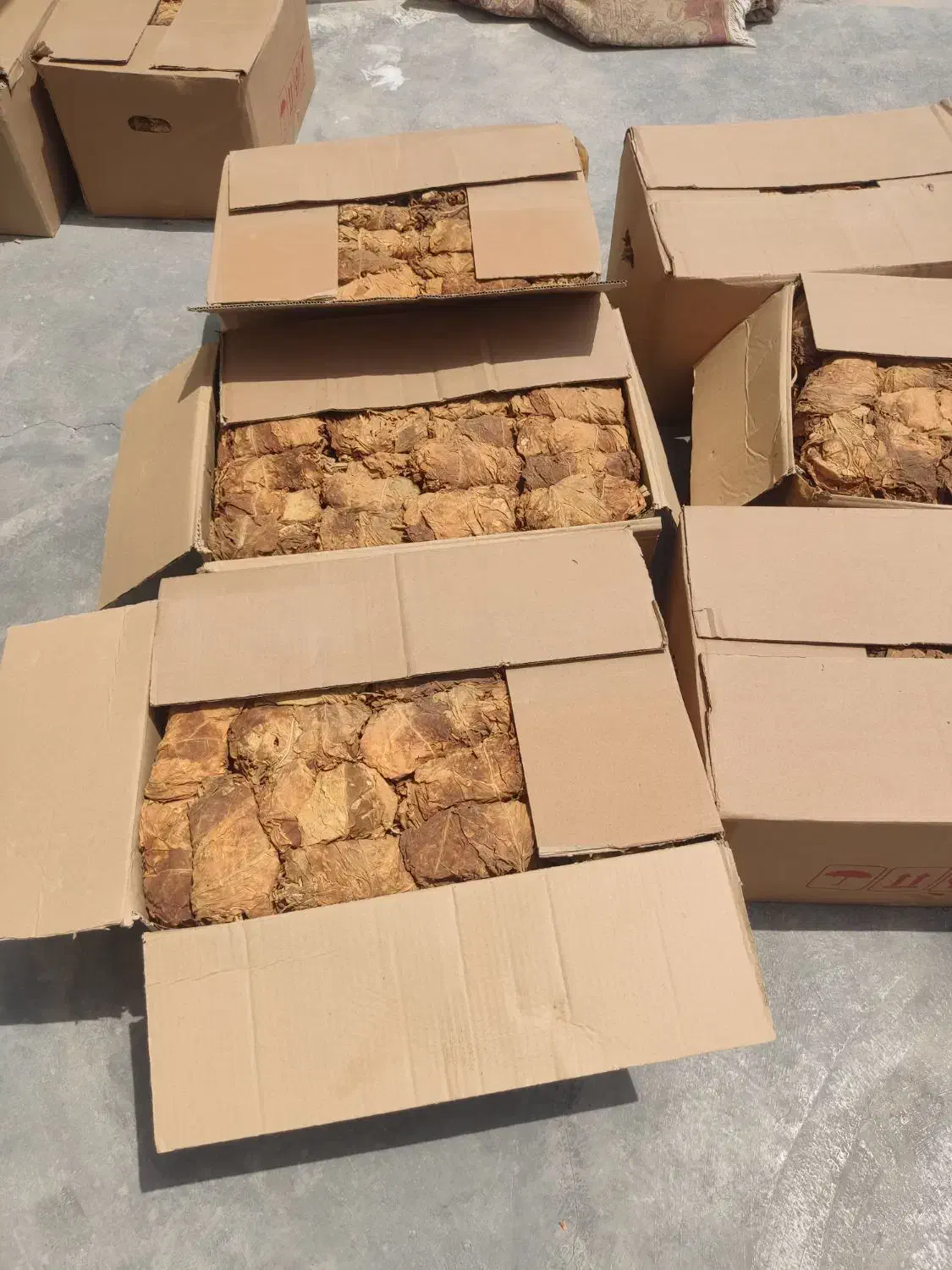 برگ زرد و قرمز|عمده‌فروشی|کاکی, |دیوار