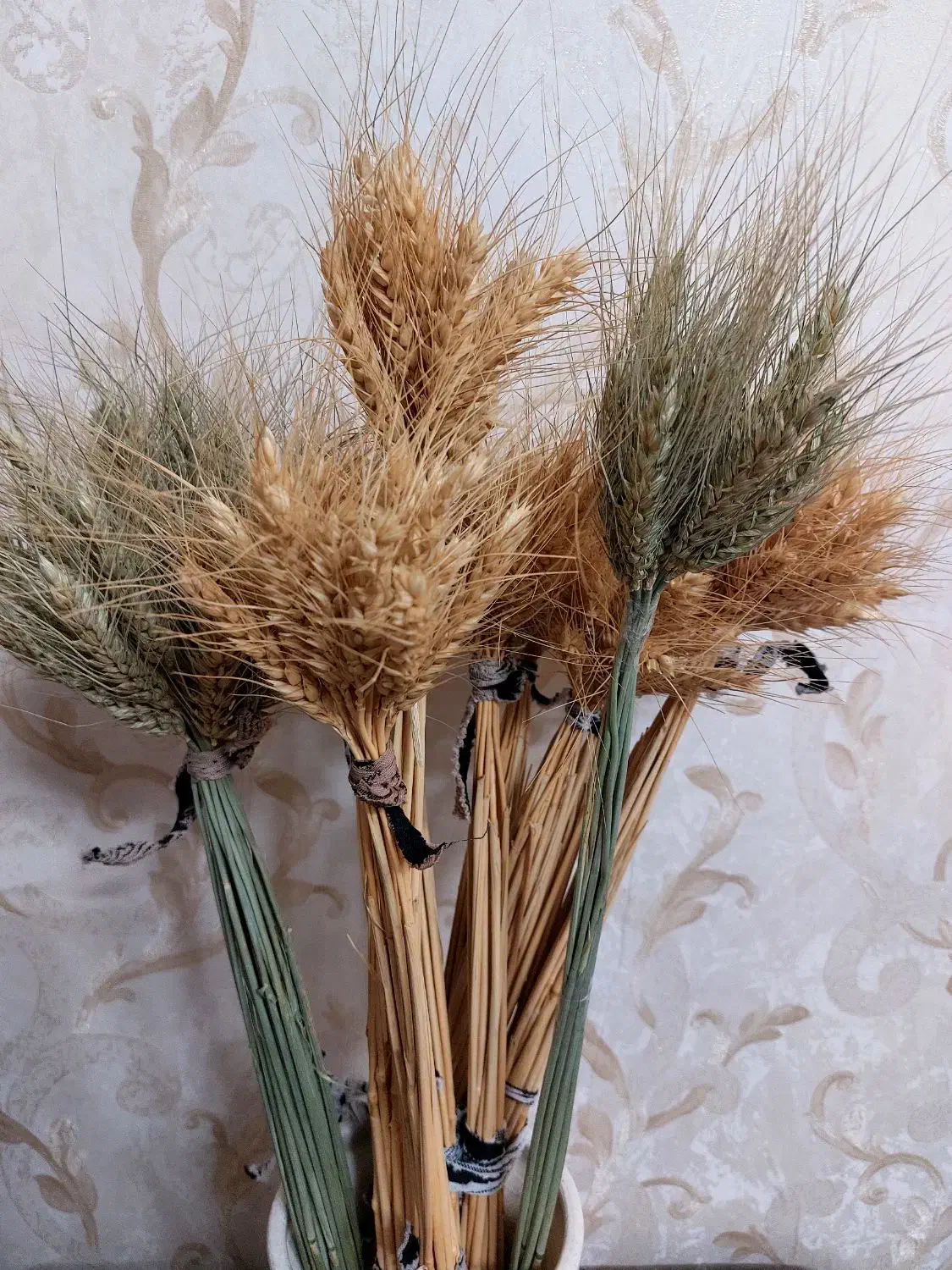 گندم عید|گل و گیاه طبیعی|مشهد, یاس|دیوار