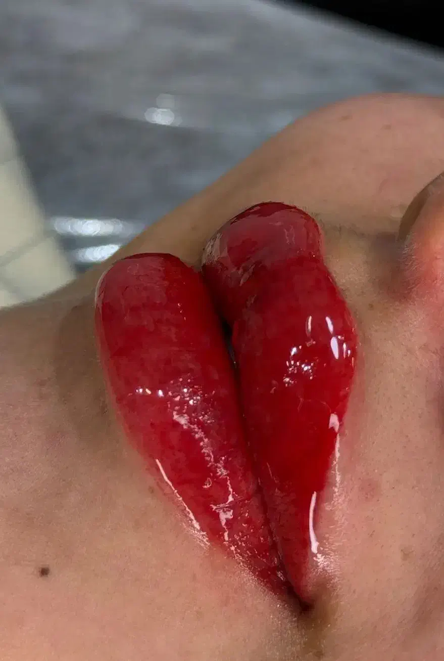 انجام خدمات آرایش دائم|خدمات آرایشگری و زیبایی|تربت‌حیدریه, شهید قرنی|دیوار