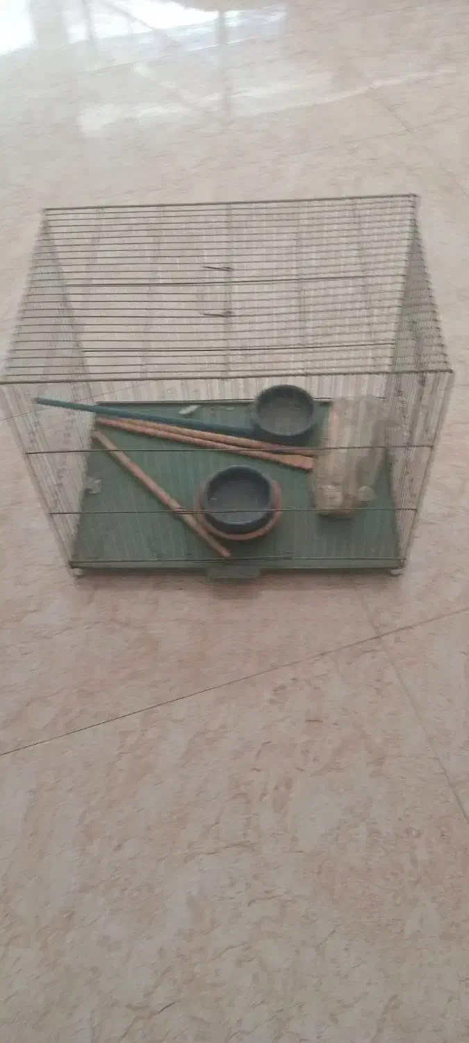 قفس حیوانات|لوازم جانبی حیوانات|ری, جوانمرد قصاب|دیوار