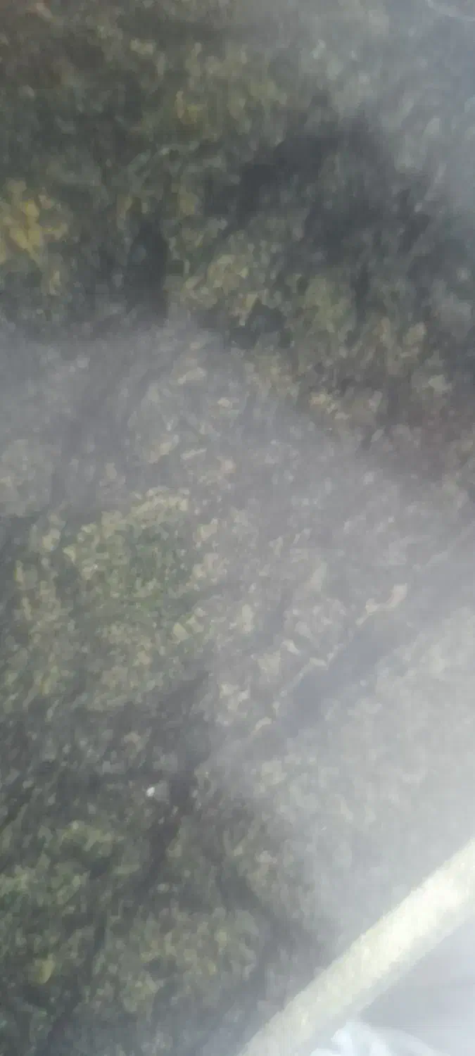 فروش زمین درشهرک صنعتی۲|فروش دفتر صنعتی، کشاورزی، تجاری|جیرفت, |دیوار