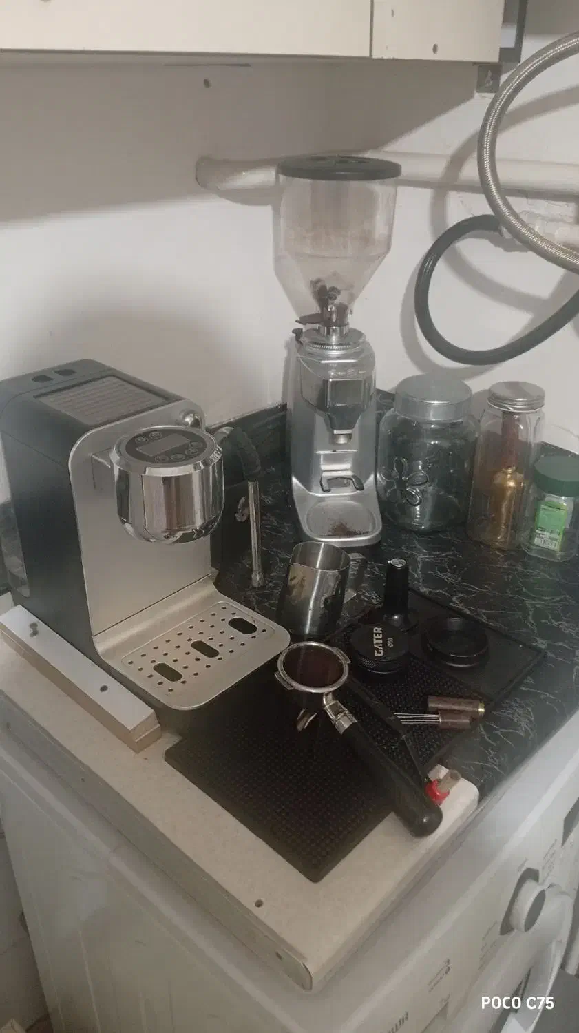 سسگ|کافیشاپ و رستوران|آبیک, |دیوار