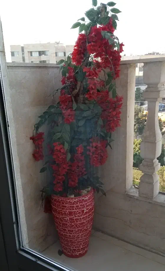 درختچه مصنوعی|گل مصنوعی|مشهد, امیریه|دیوار