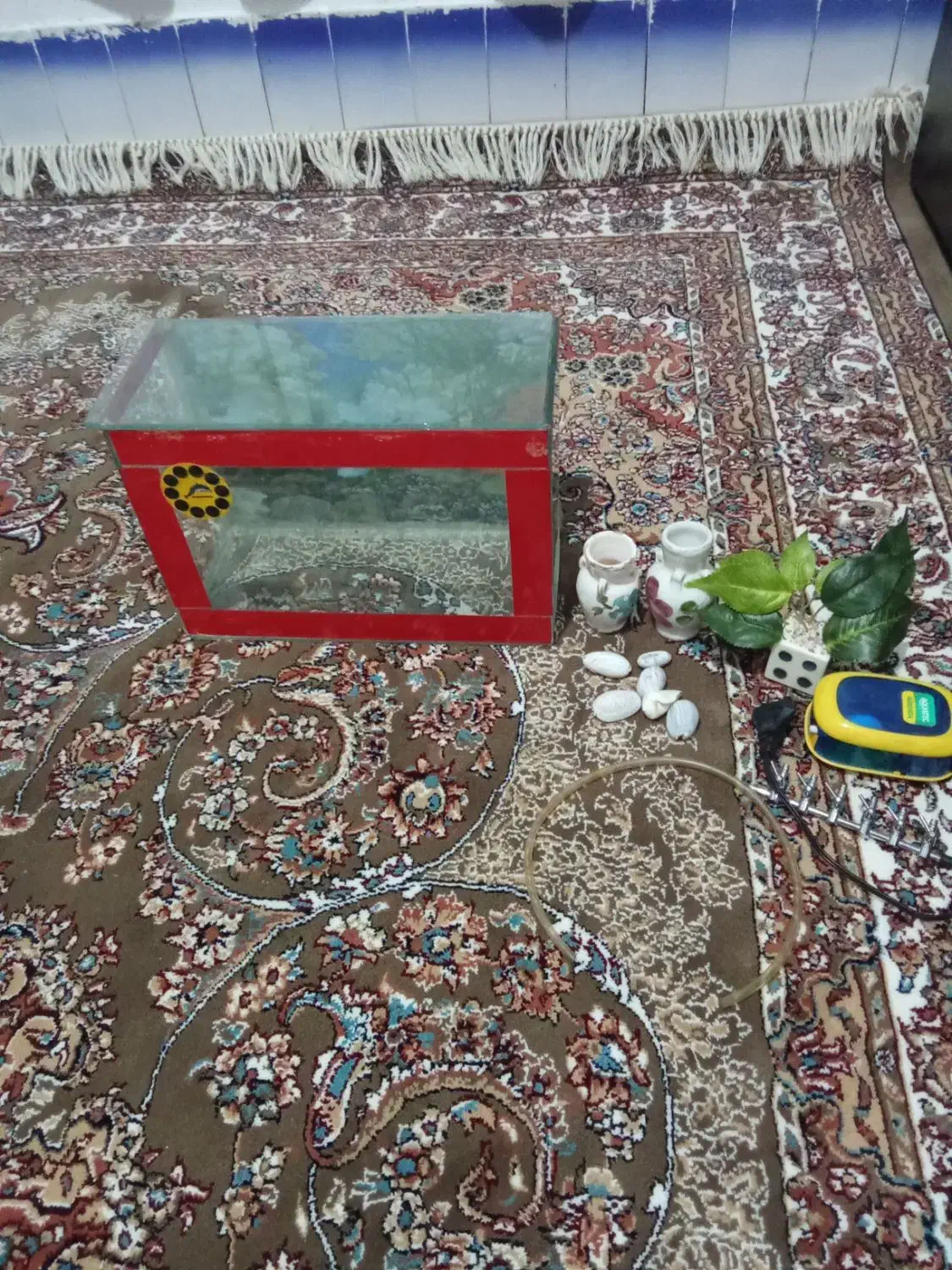 آکواریوم|ماهی|سقز, |دیوار