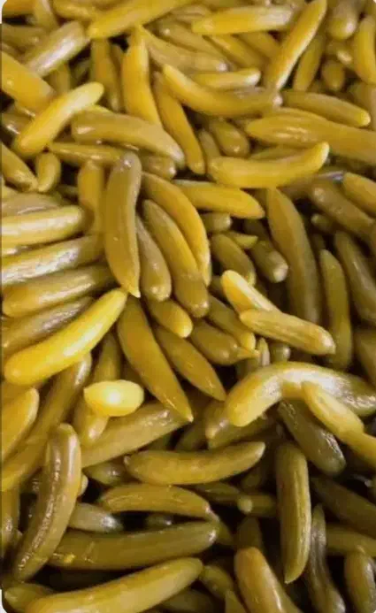 خیارشور ویژه فیت دار فروش فوری|خوردنی و آشامیدنی|درگزین, |دیوار