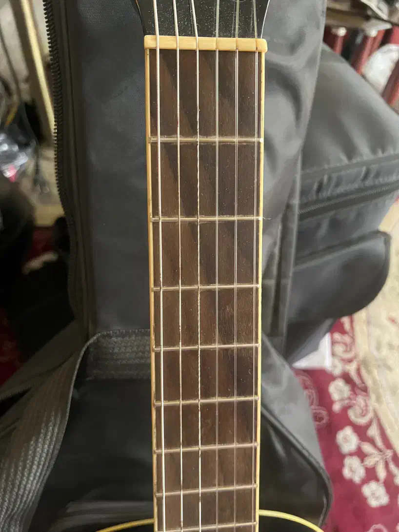 گیتار سانتانا santana CG010|گیتار، بیس، امپلیفایر|تهران, آبشار|دیوار