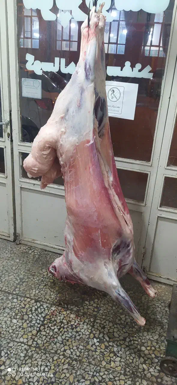 ذبح گوسفند و گوساله|خدمات پذیرایی، مراسم|باسمنج, |دیوار