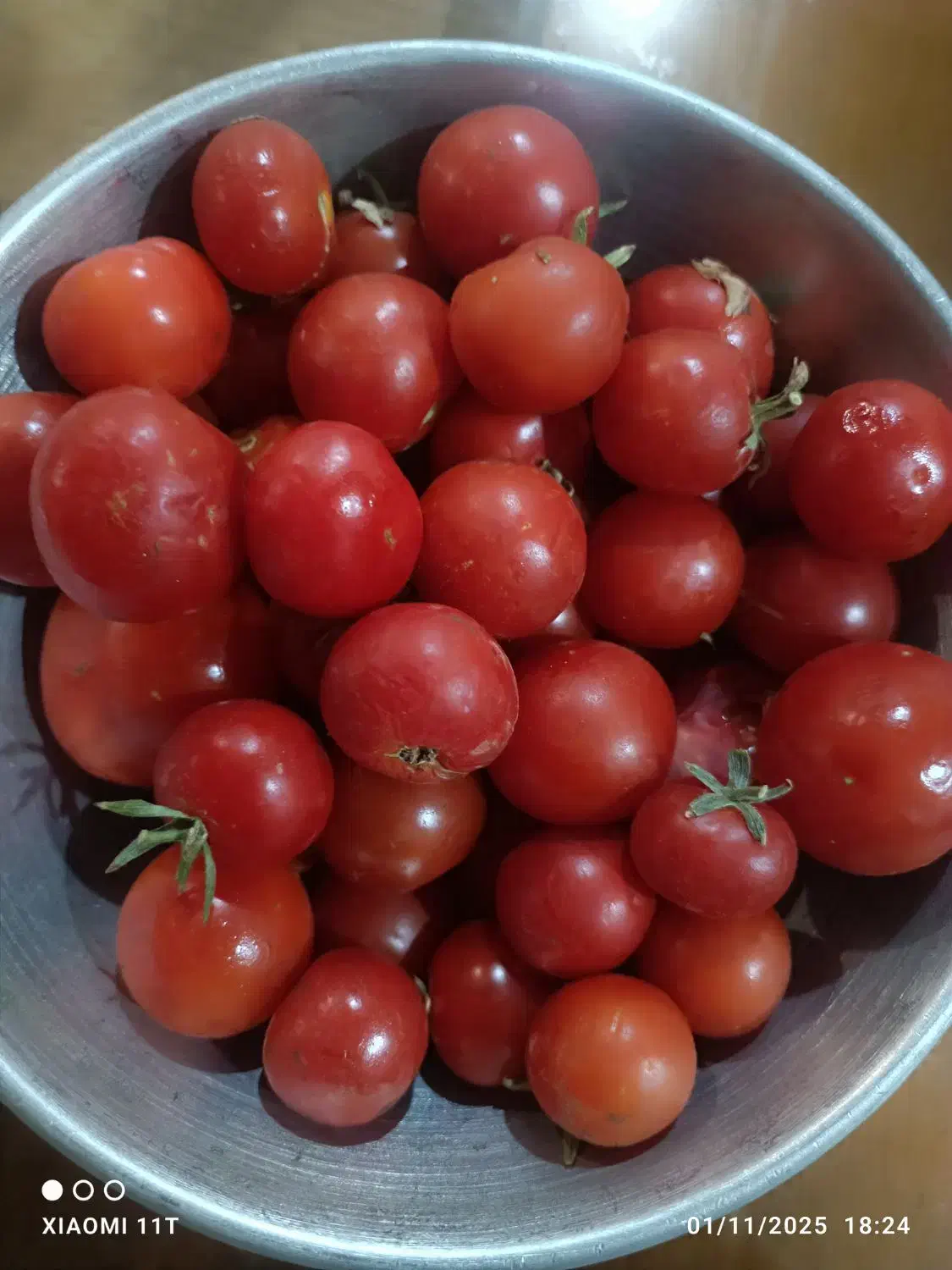 گوجه محلی|خوردنی و آشامیدنی|سبزوار, باهنر|دیوار