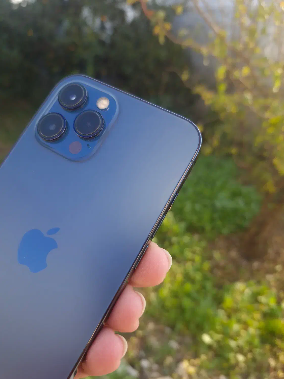 ایفون ۱۲ پرومکس 256 zaa|موبایل|قائم‌شهر, |دیوار