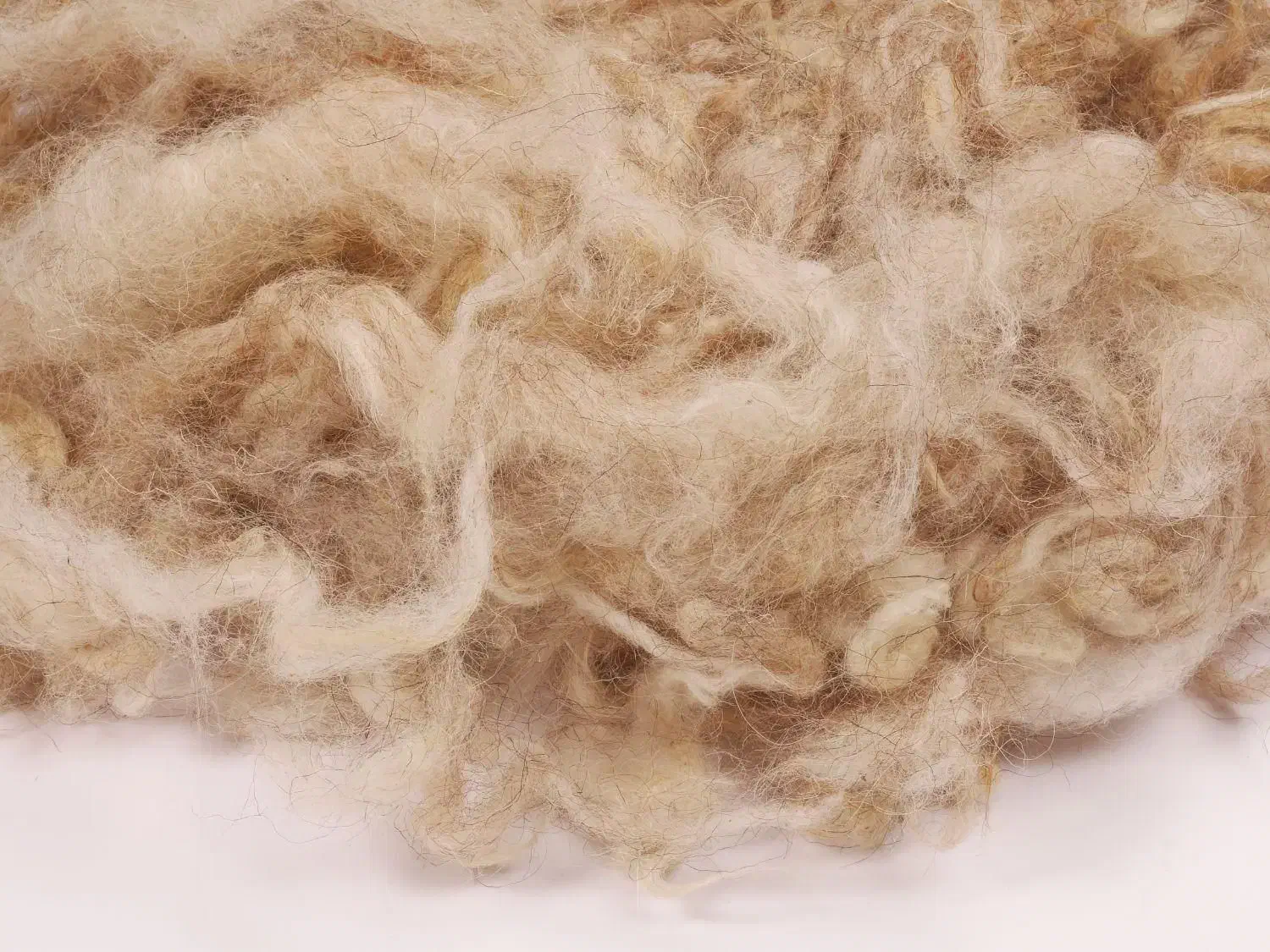 پشم گوسفندی شسته آماده ۶۰ ت|رختخواب، بالش، پتو|فرخشهر, |دیوار