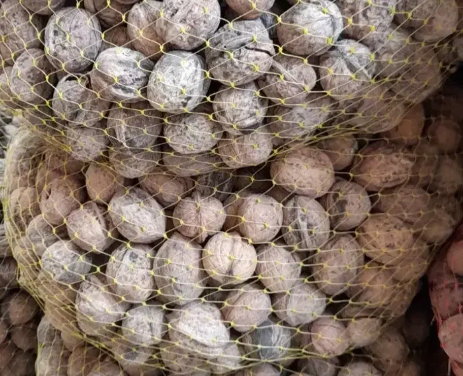 گردو  امسال‌ تازه|خوردنی و آشامیدنی|خرمدره, |دیوار