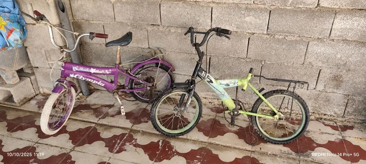 دو تا دوچرخه 16طبق تصویر بفروش میرسد|دوچرخه، اسکیت، اسکوتر|کازرون, |دیوار