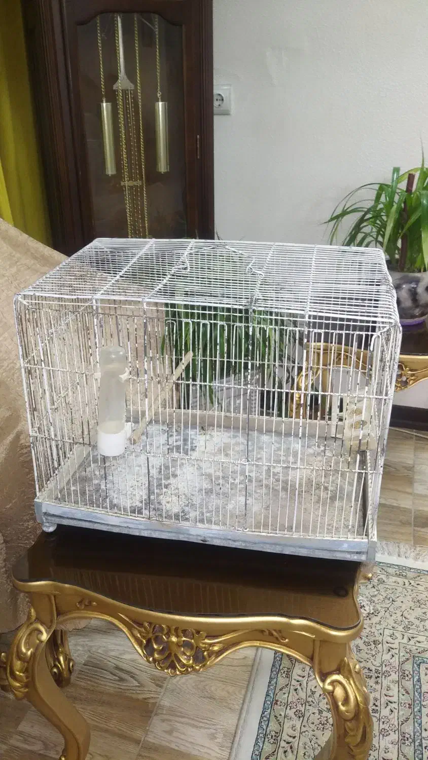 قفس پرنده وخرگوش|لوازم جانبی حیوانات|شاهینشهر, اقبال لاهوری|دیوار