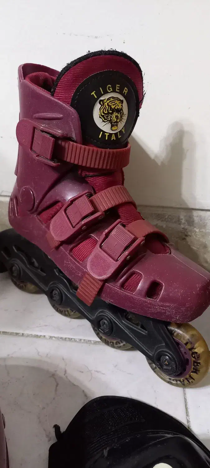 کفش اسکیت برند تایگر ایتالیایی|دوچرخه، اسکیت، اسکوتر|شیراز, آبیاری|دیوار
