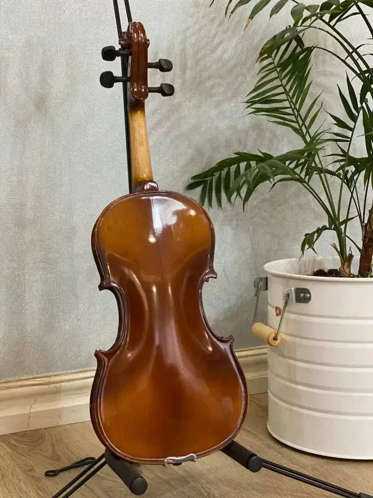 ویولن ماویز mavis سایز ۴/۴|ویولن|رشت, شهرک پردیسان|دیوار