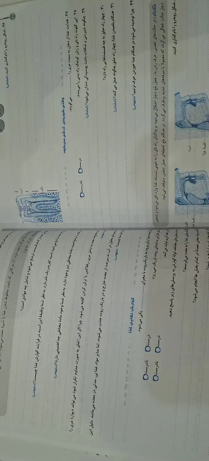 علوم هفتم|کتاب و مجله آموزشی|جیرفت, |دیوار