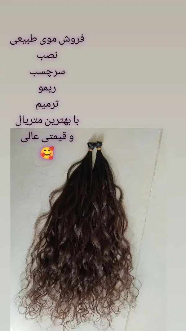 موی طبیعی|آرایشی، بهداشتی، درمانی|فولادشهر, C3|دیوار