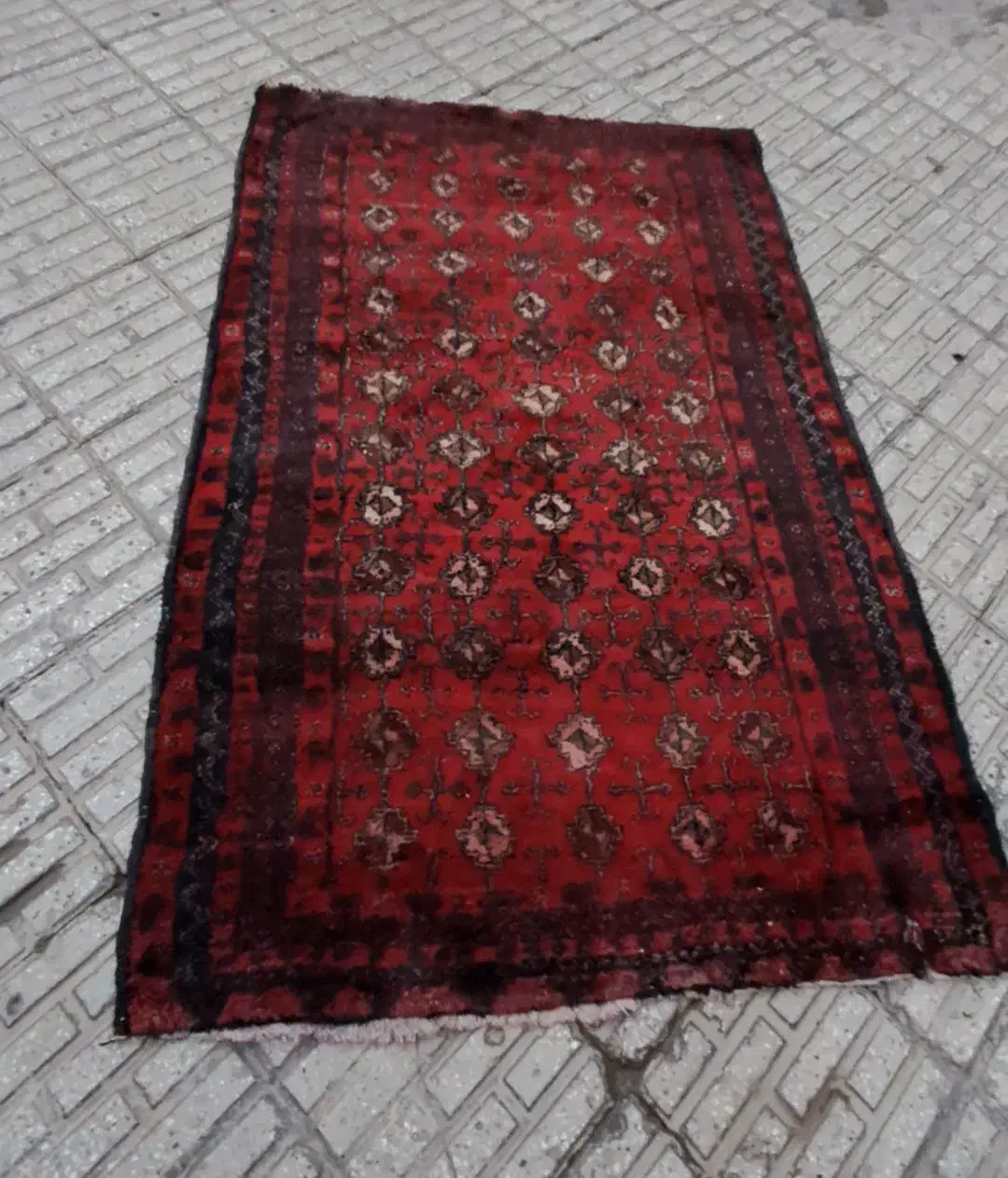 قالیچه ۲ متری دست باف ۱۰ ساله پر پشم|فرش|تربت جام, میان جام|دیوار