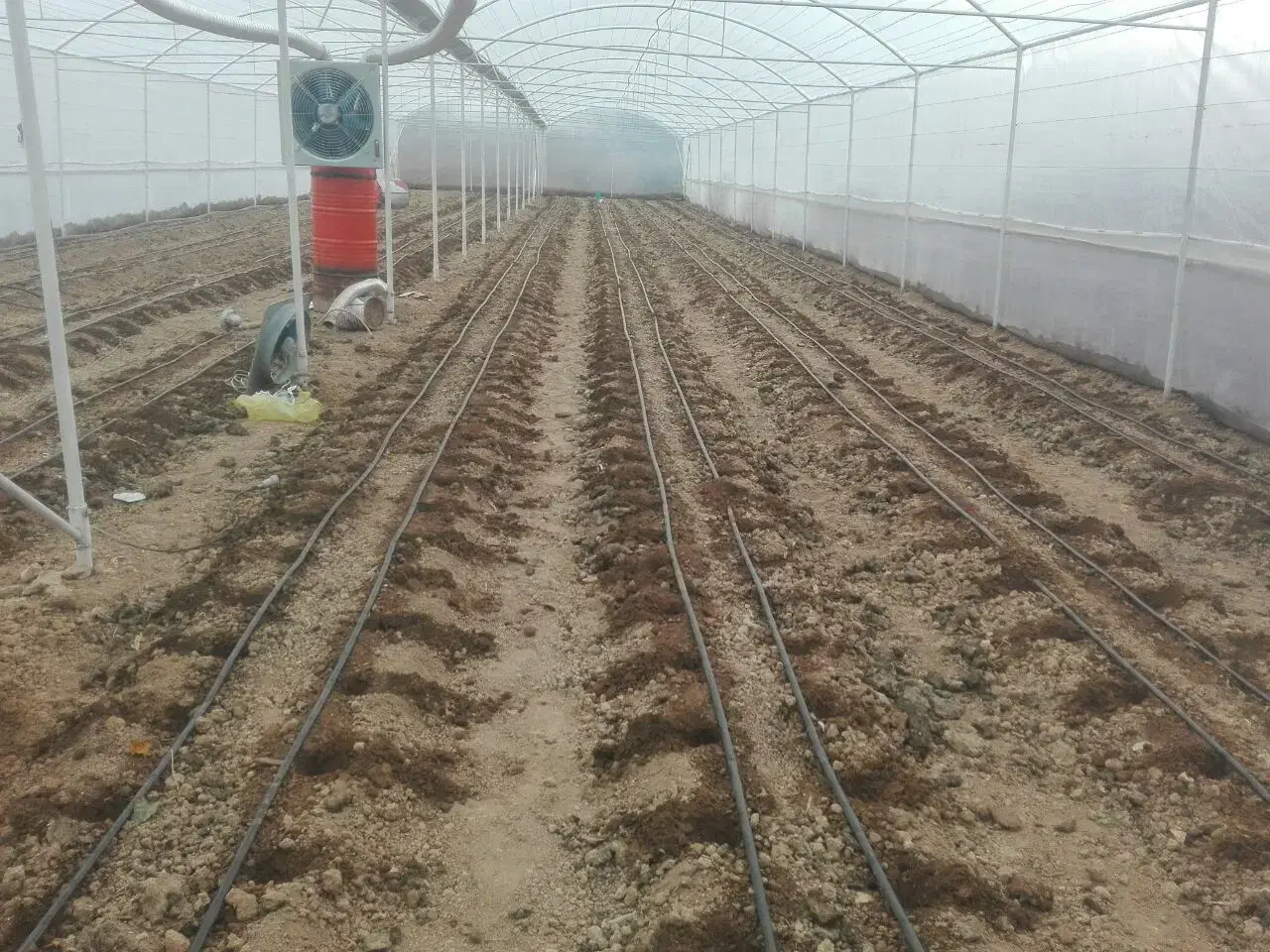 گلخانه|مصالح و تجهیزات ساختمان|معصومیه, |دیوار