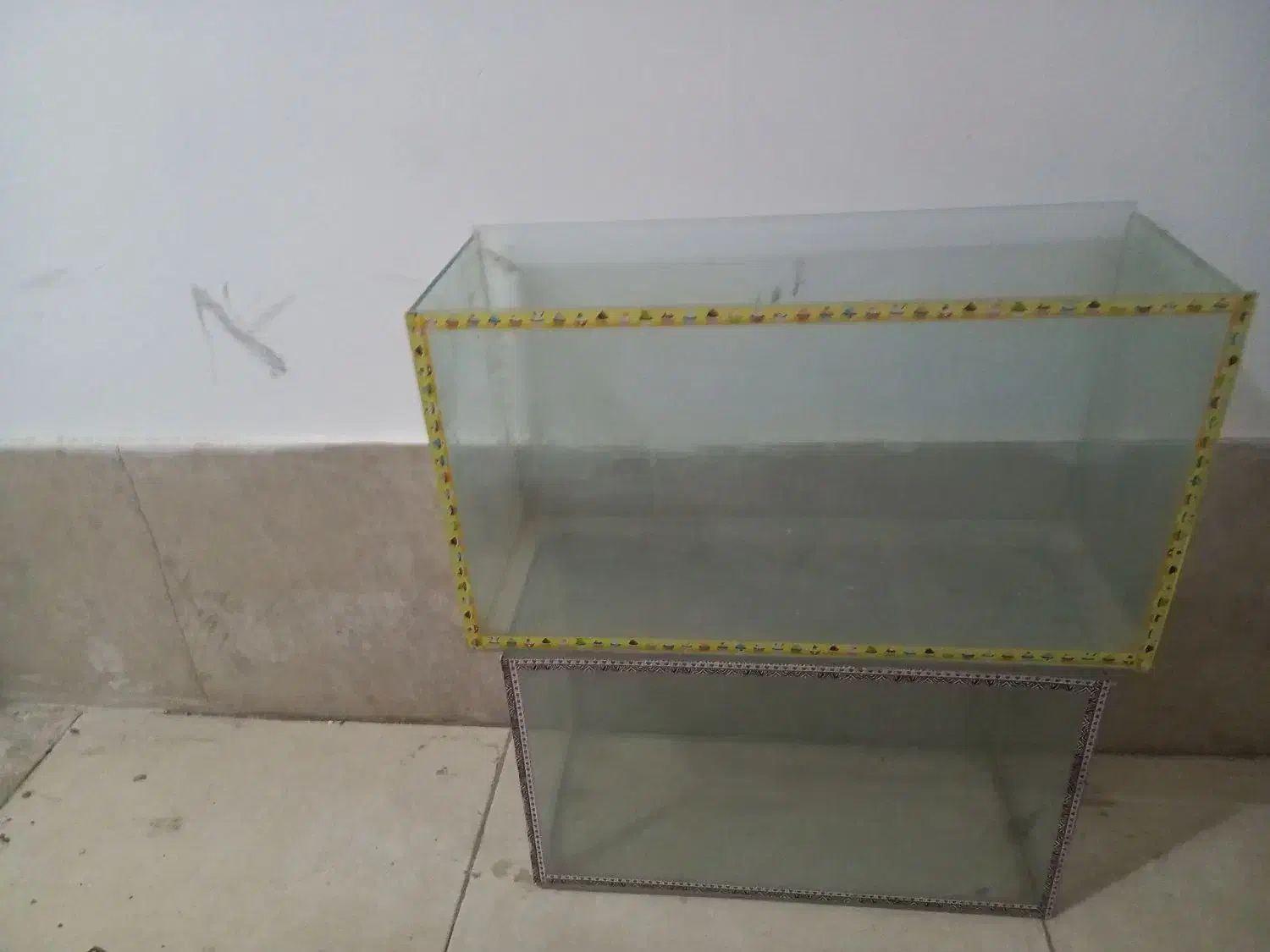 اکواریوم|ماهی|بیرجند, |دیوار