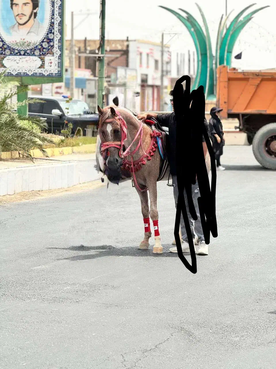 اسب|اسب و تجهیزات اسب‌سواری|نرماشیر, |دیوار