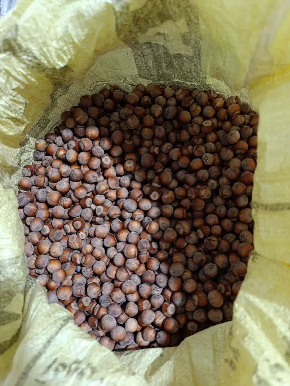 فندق الموت|خوردنی و آشامیدنی|محمدیه-قزوین, |دیوار